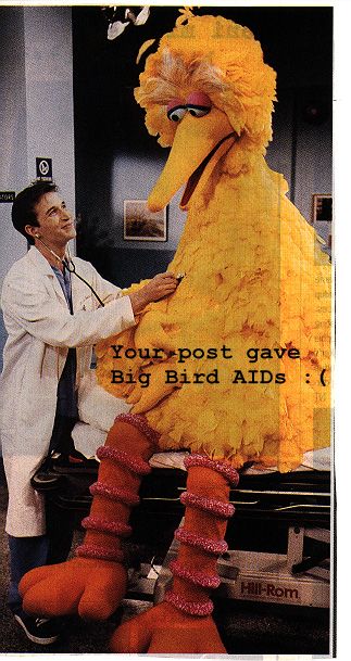 BigBird.jpg