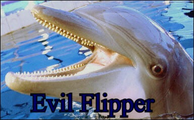 Flipper.jpg