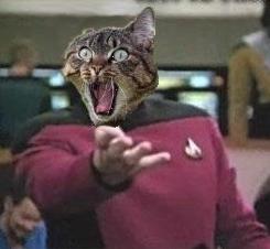 Picard Cat